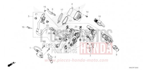 FAISCEAU DES FILS CRF450RXR de 2024